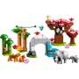 Animali dell'Asia Lego 10974 DUPLO