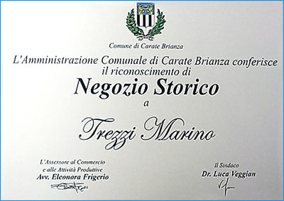 Negozio-Storico-Trezzi-Marino-Giocattoli.jpg